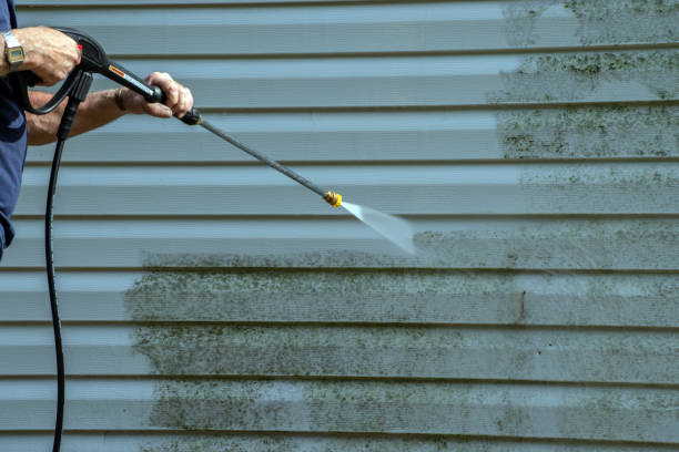 Best Sidewalk and Walkway Cleaning  in Burlington, NC